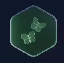 Vip 6